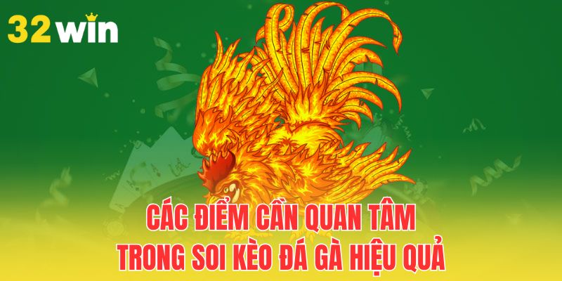 Mẹo Soi Kèo Đá Gà Hiệu Quả Giúp Người Chơi Luôn Thắng Cược 3 cac-diem-can-quan-tam-trong-soi-keo-da-ga-hieu-qua