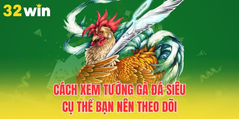 Cách Xem Tướng Gà Đá Hay Giúp Tăng Chiến Thắng 2 cach-xem-tuong-ga-da-sieu-cu-the-ban-nen-theo-doi