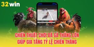 chien-thuat-choi-da-ga-thang-lon-giup-gia-tang-ty-le-chien-thang