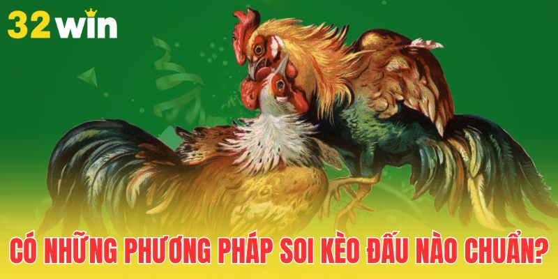 Mẹo Soi Kèo Đá Gà Hiệu Quả Giúp Người Chơi Luôn Thắng Cược 2 co-nhung-phuong-phap-soi-keo-dau-nao-chuan
