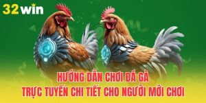Quy trình chơi đá gà trực tuyến chi tiết