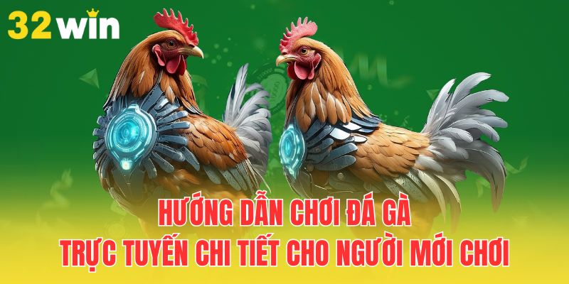 Hướng Dẫn Chơi Đá Gà Trực Tuyến Cho Người Mới Chơi 3 Quy trình chơi đá gà trực tuyến chi tiết