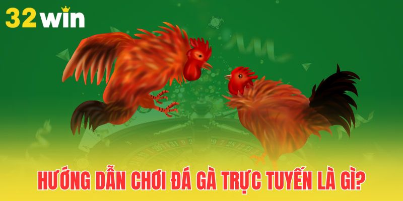 Hướng Dẫn Chơi Đá Gà Trực Tuyến Cho Người Mới Chơi 1 huong-dan-choi-da-ga-truc-tuyen-la-gi