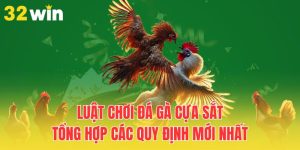 luat choi da ga cua sat tong hop cac quy dinh moi nhat