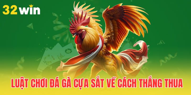 Luật Chơi Đá Gà Cựa Sắt - Tổng Hợp Các Quy Định Mới Nhất 3 luat-choi-da-ga-cua-sat-ve-cach-thang-thua