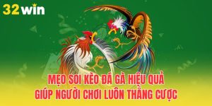 meo soi keo da ga hieu qua giup nguoi choi luon thang cuoc