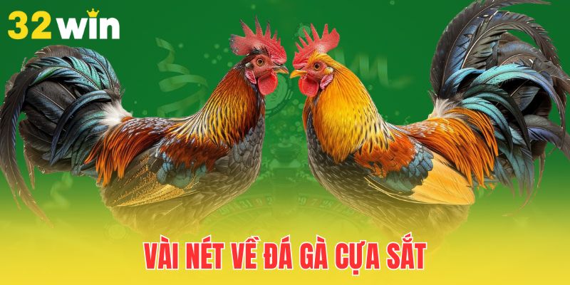 Luật Chơi Đá Gà Cựa Sắt - Tổng Hợp Các Quy Định Mới Nhất 1 vai-net-ve-da-ga-cua-sat